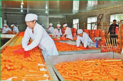 從沃土到市場(chǎng) 雙鴨山苗木產(chǎn)業(yè)如何實(shí)現(xiàn)“種得好”與“賣得好”的共贏