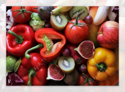 生機(jī)盎然 從水果蔬菜圖片到苗木培育的藝術(shù)